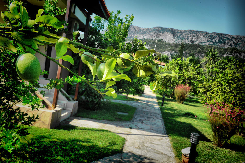 Nerissa Hotel Çıralı 외부 사진