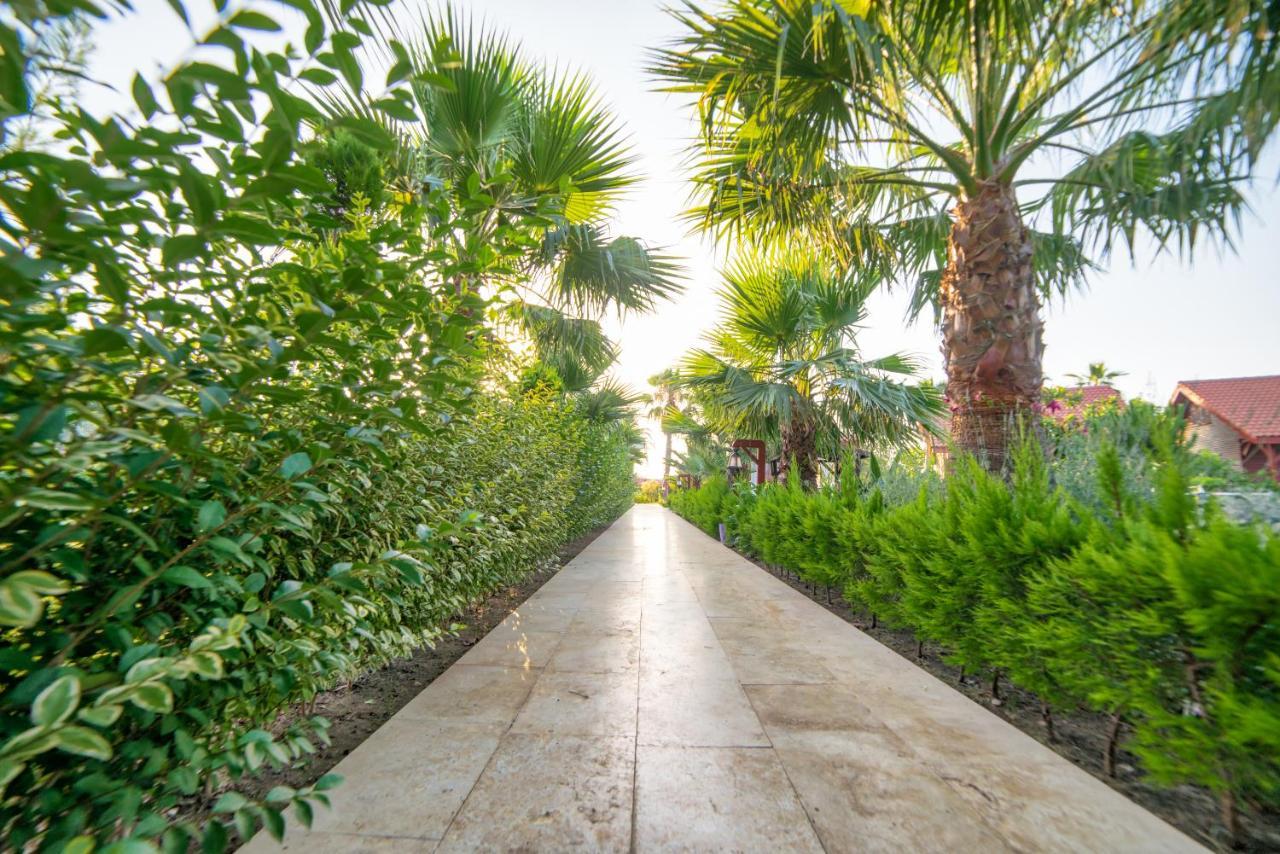Nerissa Hotel Çıralı 외부 사진
