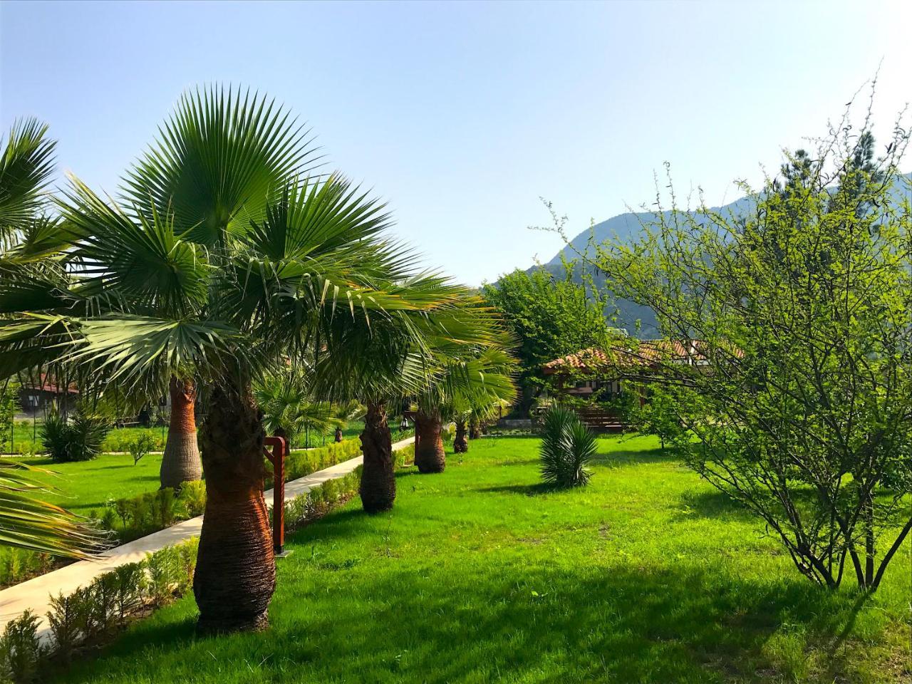 Nerissa Hotel Çıralı 외부 사진